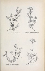n172_w1150
