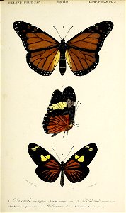 n152_w1150