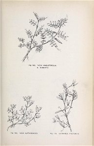 n110_w1150