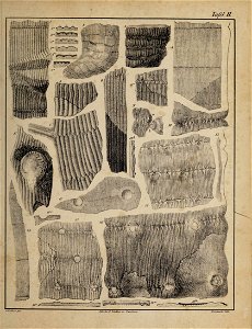 n14_w1150