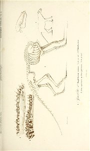 n114_w1150