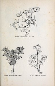 n148_w1150