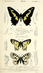n148_w1150