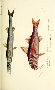 n58_w1150