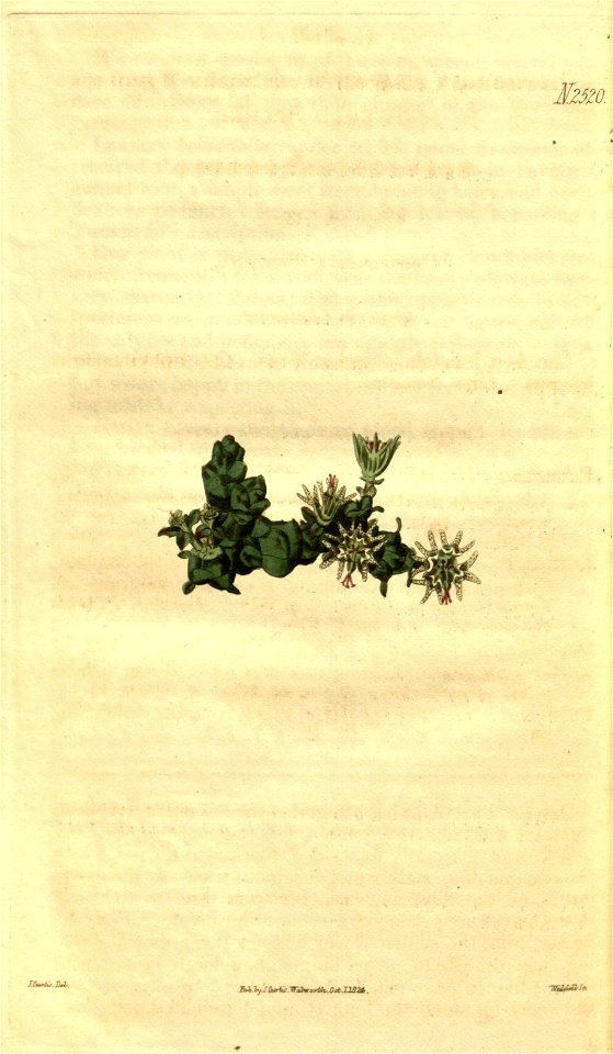n222_w1150
