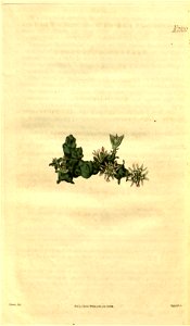 n222_w1150