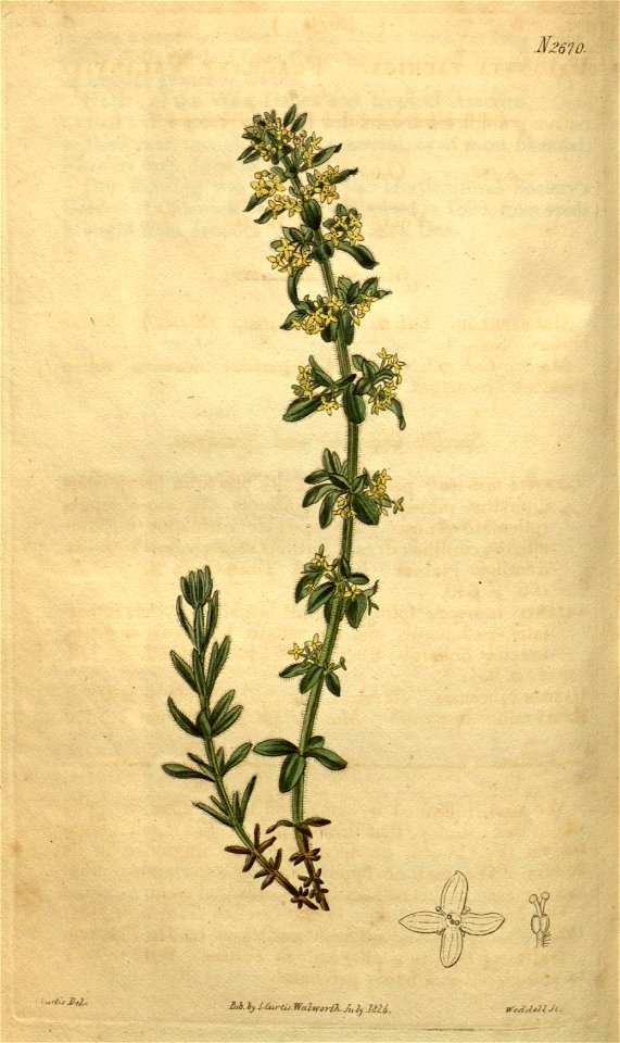 n172_w1150