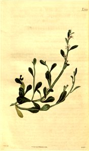 n219_w1150