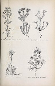 n178_w1150