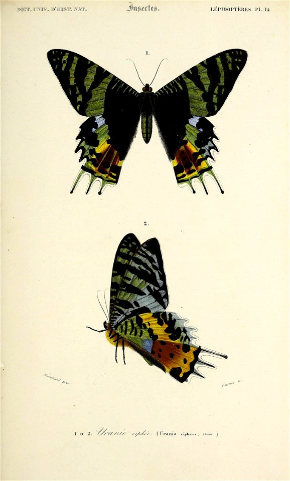 n176_w1150