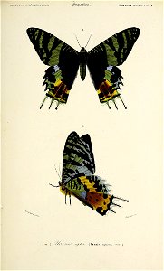 n176_w1150