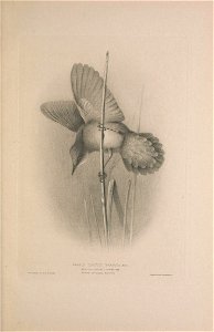 n50_w1150