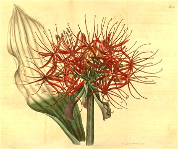 n149_w1150