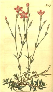 n44_w1150