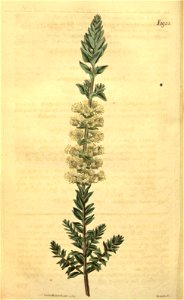 n208_w1150