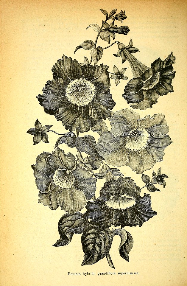 n111_w1150