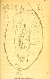 n392_w1150