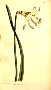 n159_w1150