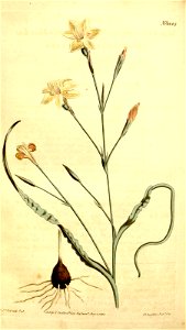 n123_w1150