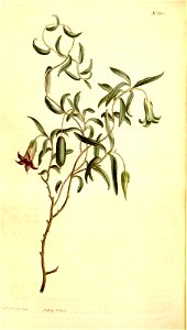 n191_w1150