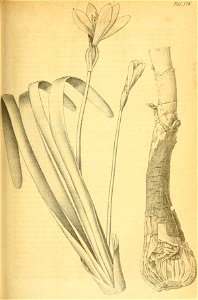 n158_w1150