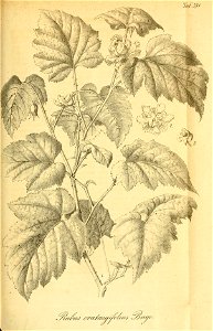 n352_w1150