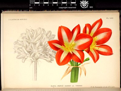n253_w1150