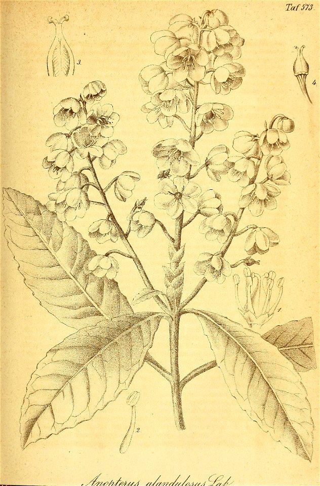 n118_w1150
