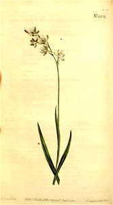 n40_w1150