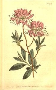 n99_w1150