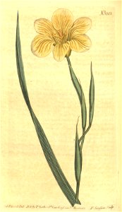n127_w1150