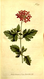 n44_w1150