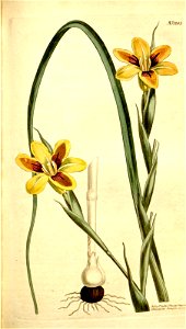 n122_w1150