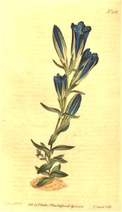 n119_w1150