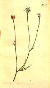 n72_w1150