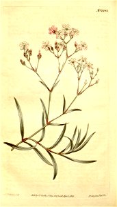 n114_w1150