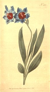 n106_w1150