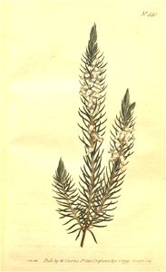 n19_w1150