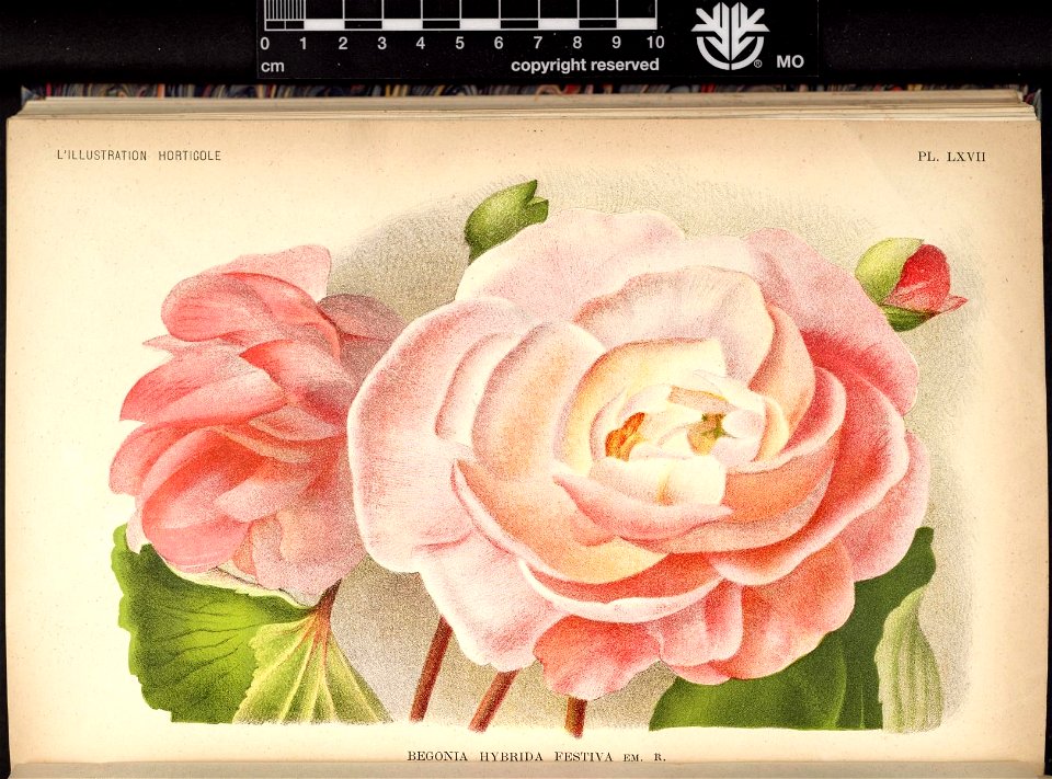 n350_w1150