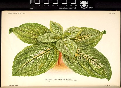 n63_w1150