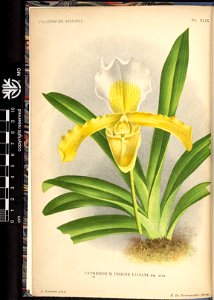 n8_w1150