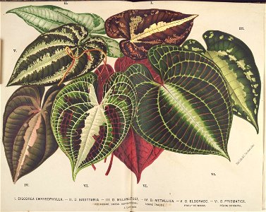 n57_w1150