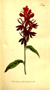 n69_w1150