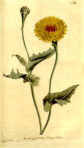 n148_w1150
