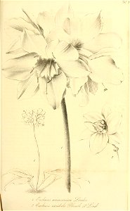 n156_w1150