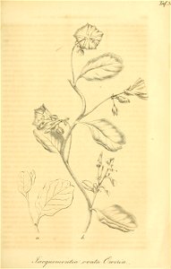 n314_w1150