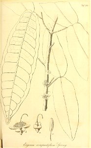 n110_w1150