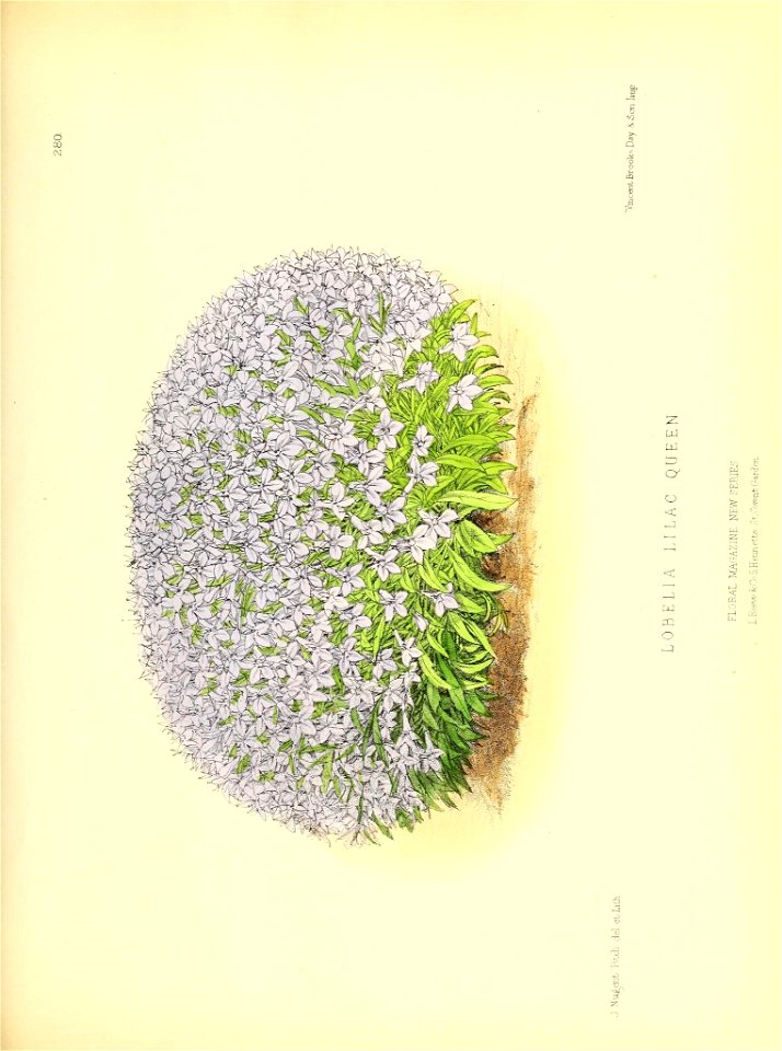 n136_w1150