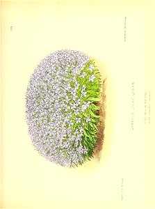 n136_w1150
