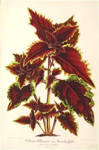 n137_w1150